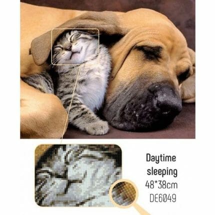 Gode venner Diamond painting hund og katt DE6049