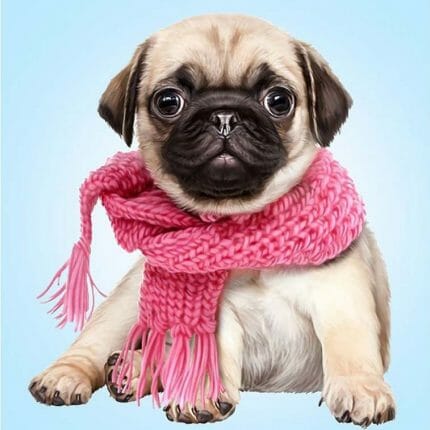 Bulldog valp med skjerf, pugdog with pink scarf, Diamond painting, perlebroderi, DE7030