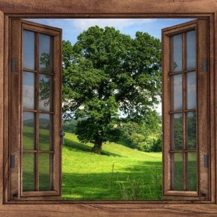 Utsikt mot skogen, Diamond paintind, perlebroderi, Collection D'Art DE7015