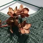 Tirilgenseren Mohair edititon - Bilde 6