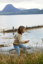 Lillefjellgenser i Lamull - Bilde 6