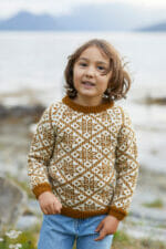 Lillefjellgenser i Lamull - Bilde 5