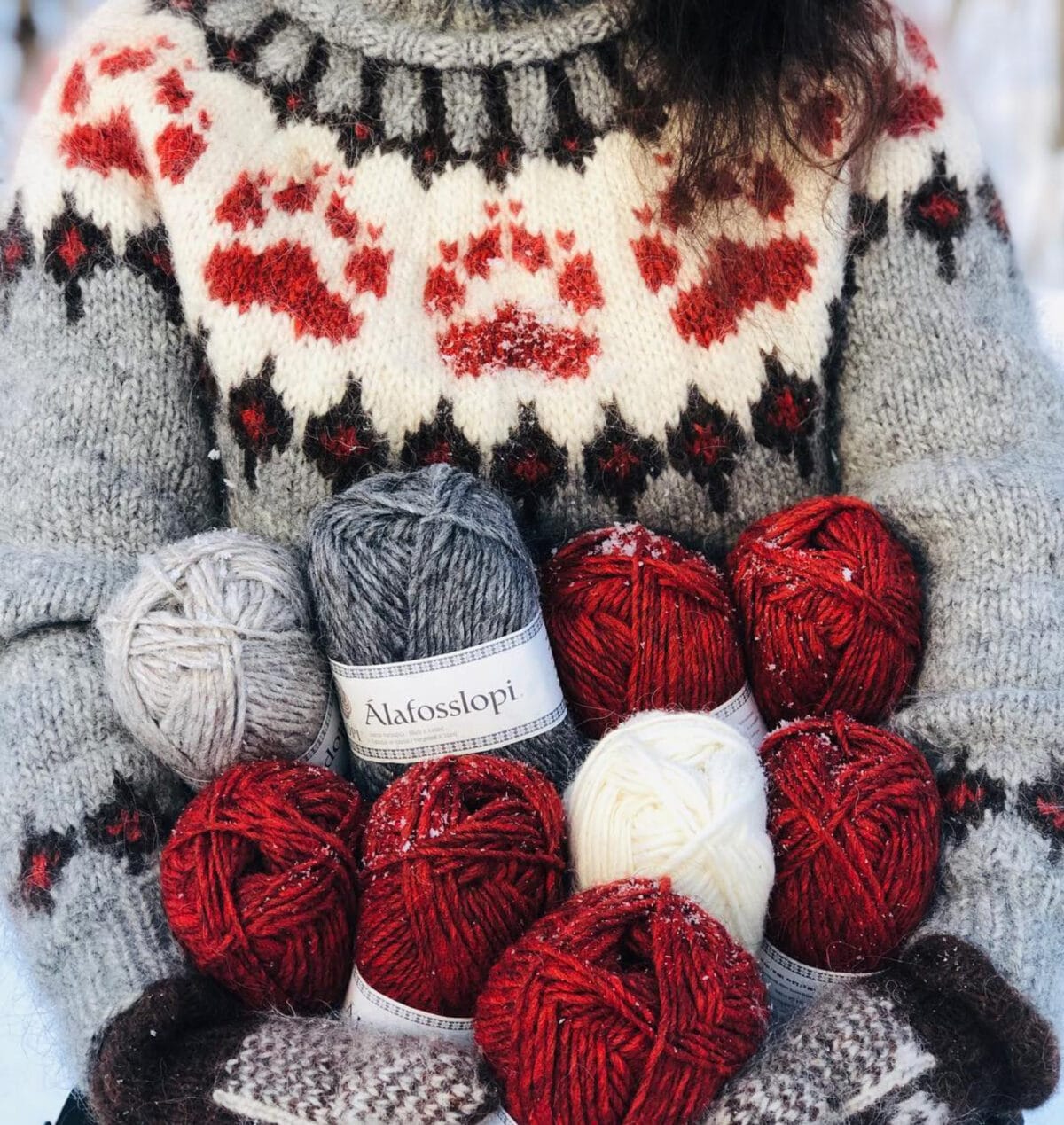 Villmarksgenseren - Bilde 2