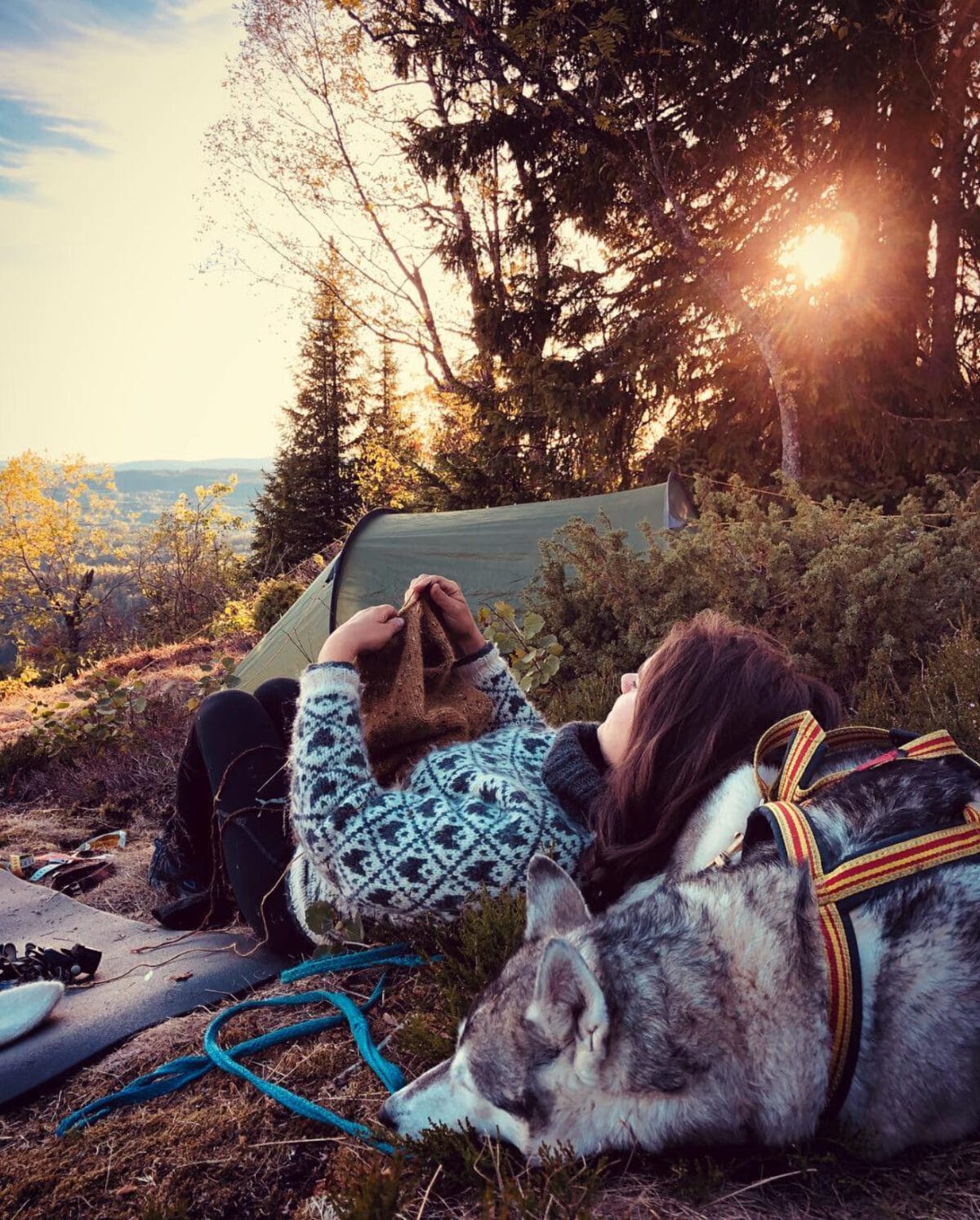 Svartulv genser - Bilde 2