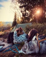 Svartulv genser - Bilde 2