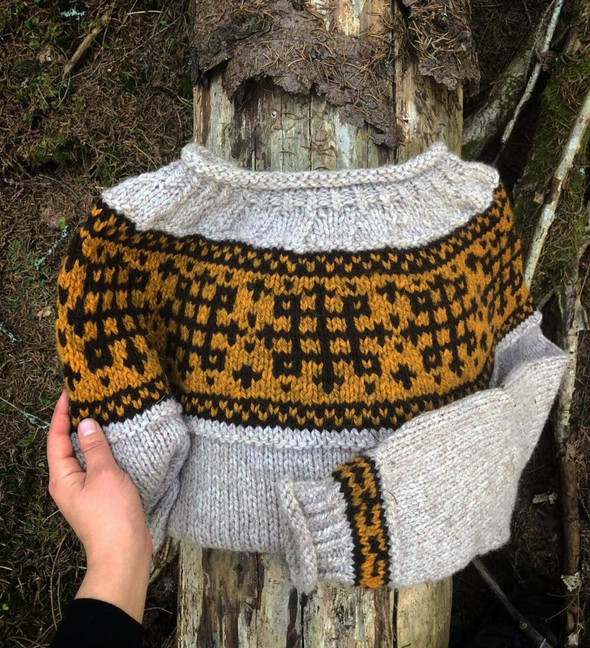 Pilegrimsgenser polar - Bilde 3