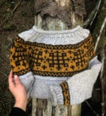 Pilegrimsgenser polar - Bilde 3